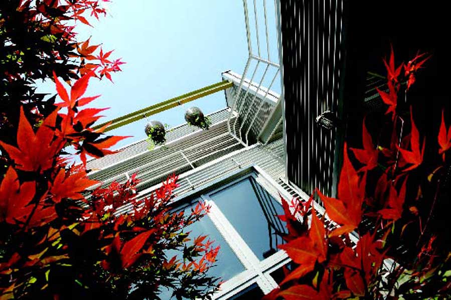 Shade-loving plants fill the atrium garden.